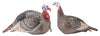 Hunters Specialties 100005 Strut-Lite Jack/Hen Combo Turkey Decoy